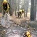 UGT pone en valor el sobreesfuerzo que están llevando a cabo los Bomberos Forestales, con jornadas maratonianas, golpes de calor, trabajando en sus días de descanso… 3 UGT pone en valor el sobreesfuerzo que están llevando a cabo los Bomberos Forestales, con jornadas maratonianas, golpes de calor, trabajando en sus días de descanso…