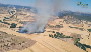 Incendio en Armuña de Tajuña