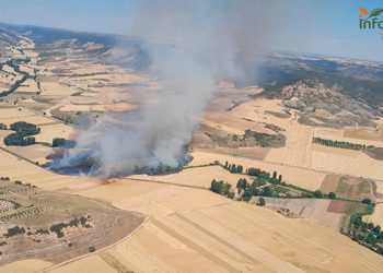 Controlado el incendio en Armuña de Tajuña