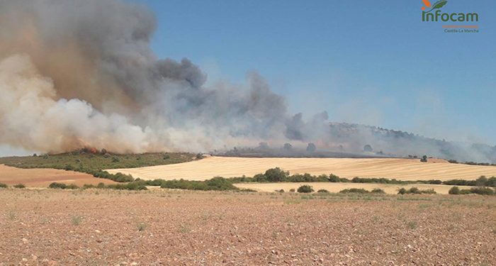 Controlado el incendio en Atienza 1 Incendio en Atienza