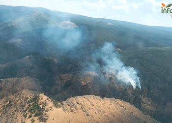 Incendio en Cantalojas