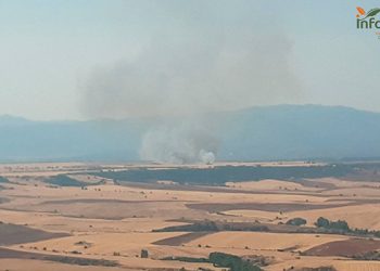 Incendio en Matarrubia; casi un centenar de personas y 24 medios tratan de controlarlo
