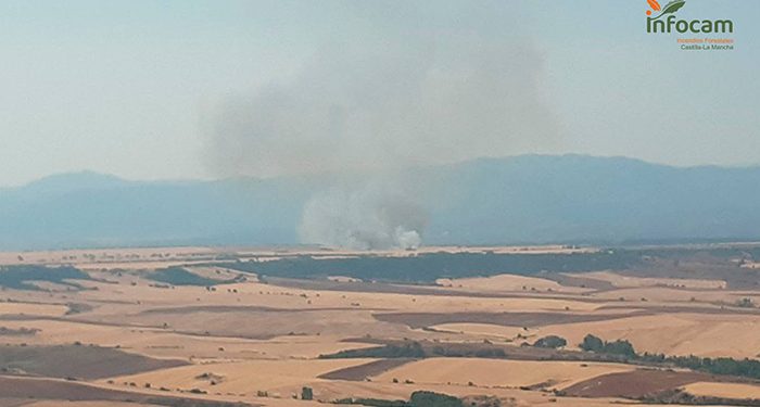 Controlado, dos días después, el incendio en Matarrubia 1 Incendio en Matarrubia; casi un centenar de personas y 24 medios tratan de controlarlo
