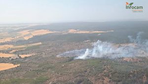 Incendio en Olmeda del Rey
