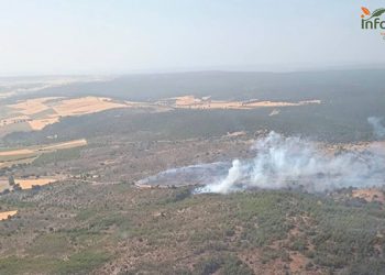 Incendio en Olmeda del Rey