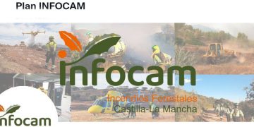 El Gobierno regional prorroga las medidas preventivas excepcionales e incide en la petición de responsabilidad ante el riesgo extremo de incendios forestales