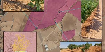 La Confederación Hidrográfica del Júcar detecta 120 hectáreas de viñedo en El Peral regándose de forma ilegal
