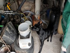 La Guardia Civil de Cuenca detiene a seis personas por el envenenamiento de tres águilas imperiales y dos milanos reales