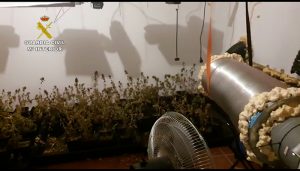 La Guardia Civil de Guadalajara desarticula una organización criminal dedicada al tráfico de drogas que operaba en El Casar