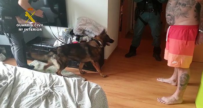 La Guardia Civil de Guadalajara desarticula una organización criminal dedicada al tráfico de drogas que operaba en El Casar