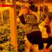 La Guardia Civil y la Policía Nacional desmantelan una plantación de marihuana “indoor” en Quer 3 La Guardia Civil y la Policía Nacional desmantelan una plantación de marihuana “indoor” en Quer