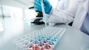 La Junta convoca una nueva línea de ayudas, dotada con más de 1,1 millones de euros, destinada al fomento de la investigación posdoctoral