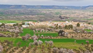 La tramitación de un complejo de tres macrogranjas porcinas despierta una gran inquietud vecinal en la Alcarria conquense