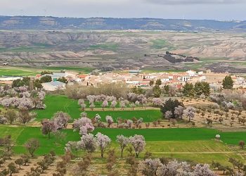 La tramitación de un complejo de tres macrogranjas porcinas despierta una gran inquietud vecinal en la Alcarria conquense