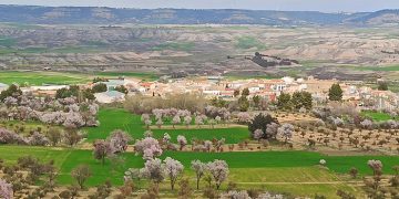La tramitación de un complejo de tres macrogranjas porcinas despierta una gran inquietud vecinal en la Alcarria conquense