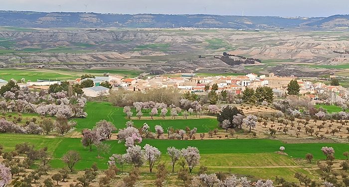La tramitación de un complejo de tres macrogranjas porcinas despierta una gran inquietud vecinal en la Alcarria conquense 1 La tramitación de un complejo de tres macrogranjas porcinas despierta una gran inquietud vecinal en la Alcarria conquense