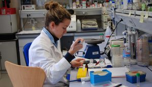 La UCLM se sitúa entre las diez mejores universidades de España en el ‘ranking’ de Shanghái en cinco áreas