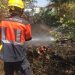 Los bomberos del Ayuntamiento de Cuenca sofocan un incendio junto a las pistas de tráfico 3 Los bomberos del Ayuntamiento de Cuenca sofocan un incendio junto a las pistas de tráfico