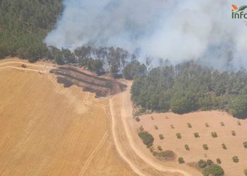Narboneta también arde 11 medios y 72 personas tratan de controlar el incendio