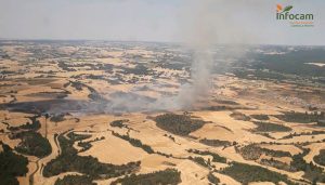 Nueve medios y 59 personas tratan de controlar un incendio en Fresneda de Altarejos
