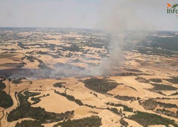 Nueve medios y 59 personas tratan de controlar un incendio en Fresneda de Altarejos