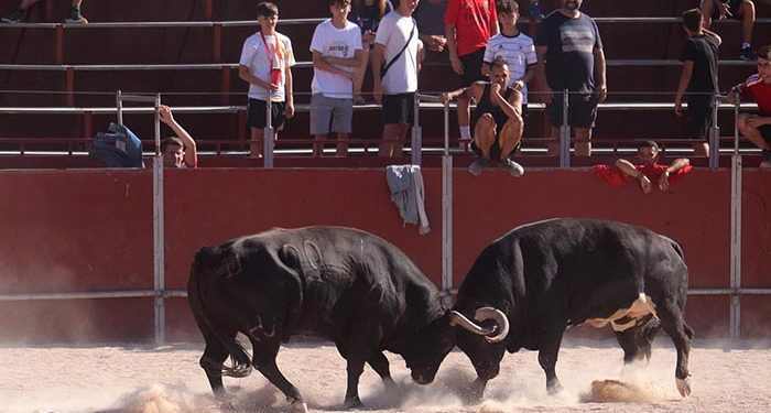 «Proyectil» anima el segundo encierro de las Fiestas de Cabanillas