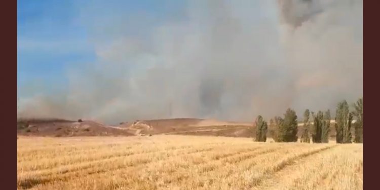 Herido el piloto de un helicóptero que participaba en la extinción del incendio de Humanes 1 Herido el piloto de un helicóptero que participaba en la extinción del incendio de Humanes