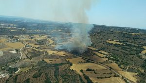 Seis medios y 32 personas tratan de controlar un incendio en Castejón