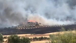 Siete medios terrestres y 31 efectivos tratan de controlar un incendio en Chiloeches