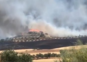 Controlado el incendio de Chiloeches 8 Siete medios terrestres y 31 efectivos tratan de controlar un incendio en Chiloeches