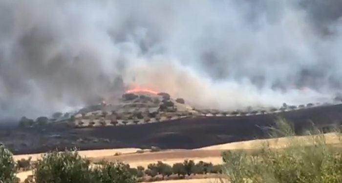 Controlado el incendio de Chiloeches 1 Siete medios terrestres y 31 efectivos tratan de controlar un incendio en Chiloeches