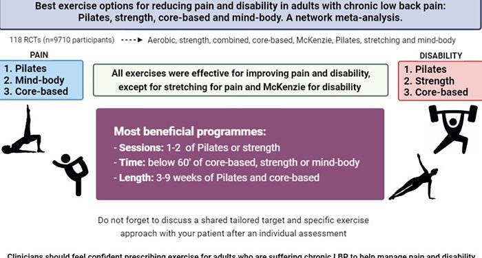 Un estudio de la UCLM desvela que al menos una o dos sesiones de pilates o ejercicios de fuerza a la semana reducen el dolor y la discapacidad en la lumbalgia crónica 1 Un estudio de la UCLM desvela que al menos una o dos sesiones de pilates o ejercicios de fuerza a la semana reducen el dolor y la discapacidad en la lumbalgia crónica