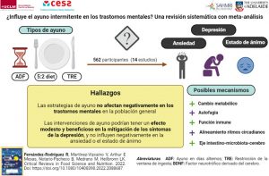 Un estudio de la UCLM sugiere que el ayuno intermitente podría mitigar los efectos de la depresión