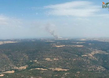Un total de 18 medios y 75 personas luchan contra un incendio en Budia