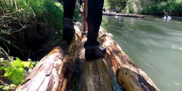Vídeo. Maderadas por el río Cuervo