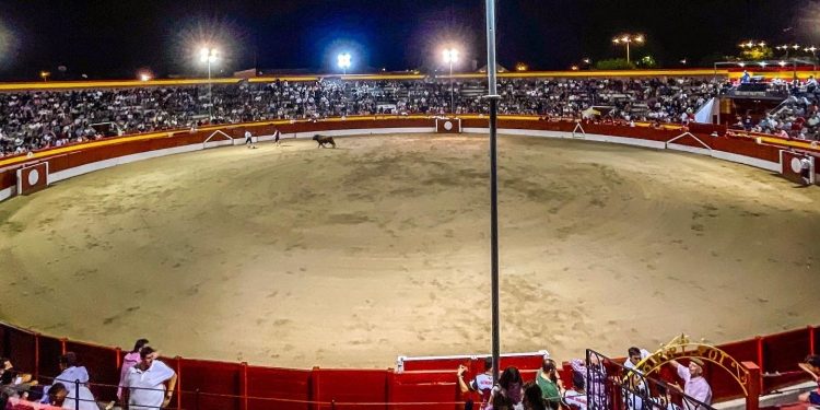 692e0fbb 1f86 40a1 8b0d 277f8391acba