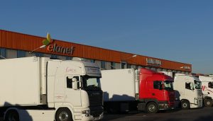 Acutrans pide un seguimiento del decreto ley de agosto para garantizar su cumplimiento