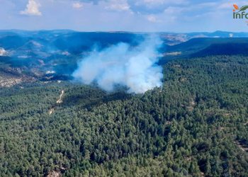 Arde el monte en Taravilla