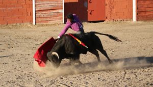 Cuatro orejas en el festejo tamajonero del certamen Guadalajara busca torero