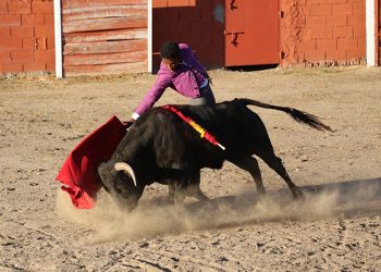 Cuatro orejas en el festejo tamajonero del certamen Guadalajara busca torero