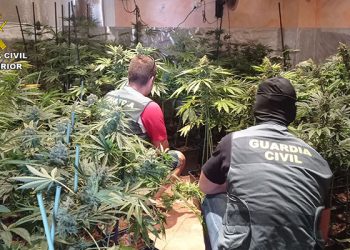 Desmantelas dos plantaciones de marihuana “indoor” en El Casar y en Cabanillas del Campo