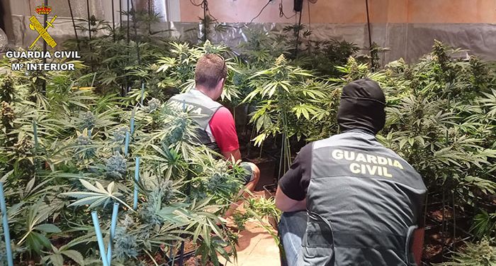 Desmantelas dos plantaciones de marihuana “indoor” en El Casar y en Cabanillas del Campo