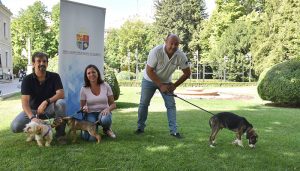 El Albergue Provincial de Animales de la Diputación de Cuenca ha atendido a 12.780 perros en los 20 años de funcionamiento