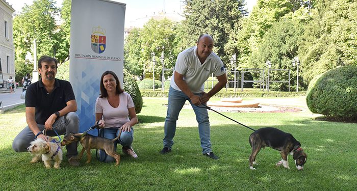 El Albergue Provincial de Animales de la Diputación de Cuenca ha atendido a 12.780 perros en los 20 años de funcionamiento