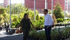 El Ayuntamiento de Guadalajara reforma el vivero municipal e instala un umbráculo y un sistema de riego que mejora la producción de plantas para la ciudad