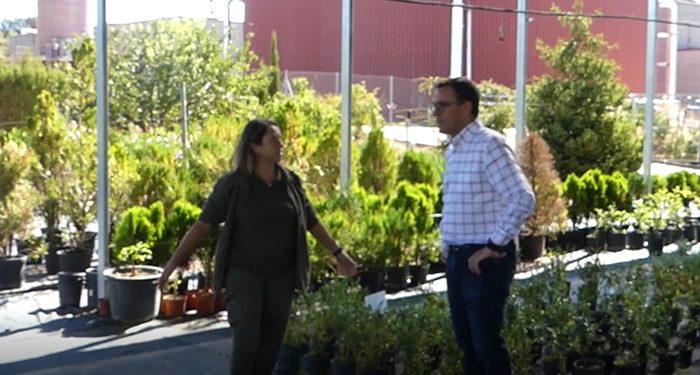 El Ayuntamiento de Guadalajara reforma el vivero municipal e instala un umbráculo y un sistema de riego que mejora la producción de plantas para la ciudad