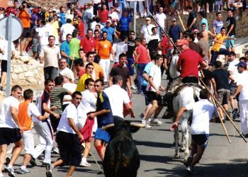 El encierro de ‘La Charcuela’ de Uceda es ya Fiesta de Interés Turístico Regional