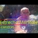 El Estrecho Marinales