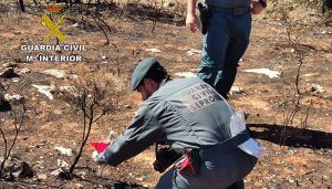 El SEPRONA investiga a una persona como supuesto autor del incendio forestal de Yunquera de Henares