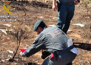 El SEPRONA investiga a una persona como supuesto autor del incendio forestal de Yunquera de Henares